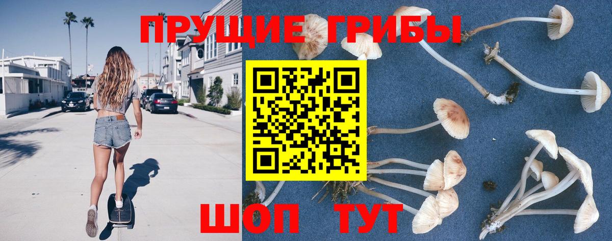Галлюциногенные грибы мицелий Новокузнецк