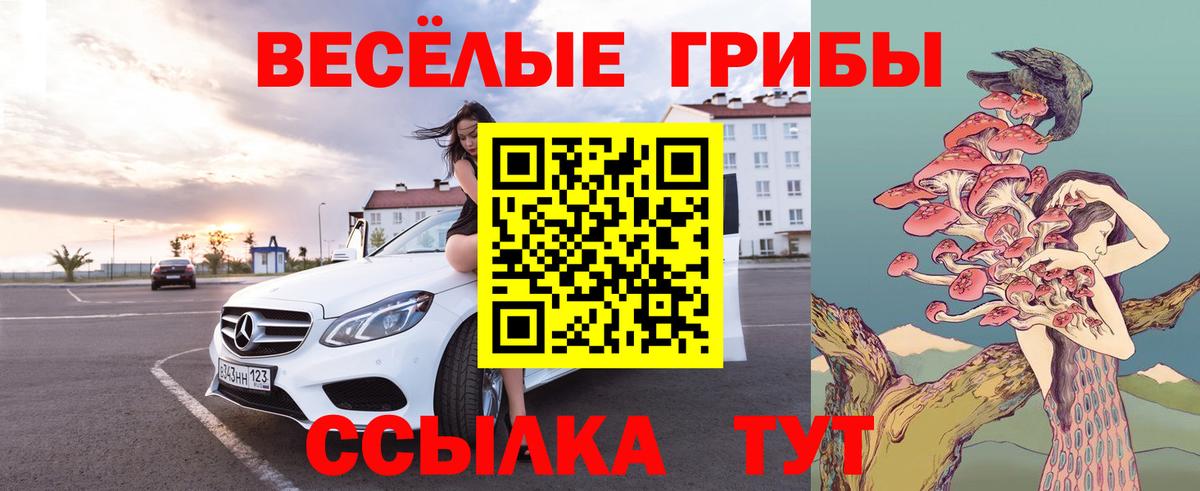 где продают   Галлюциногенные грибы Psilocybe  Галлюциногенные грибы ЛСД  Вход с VPN  Новокузнецк 